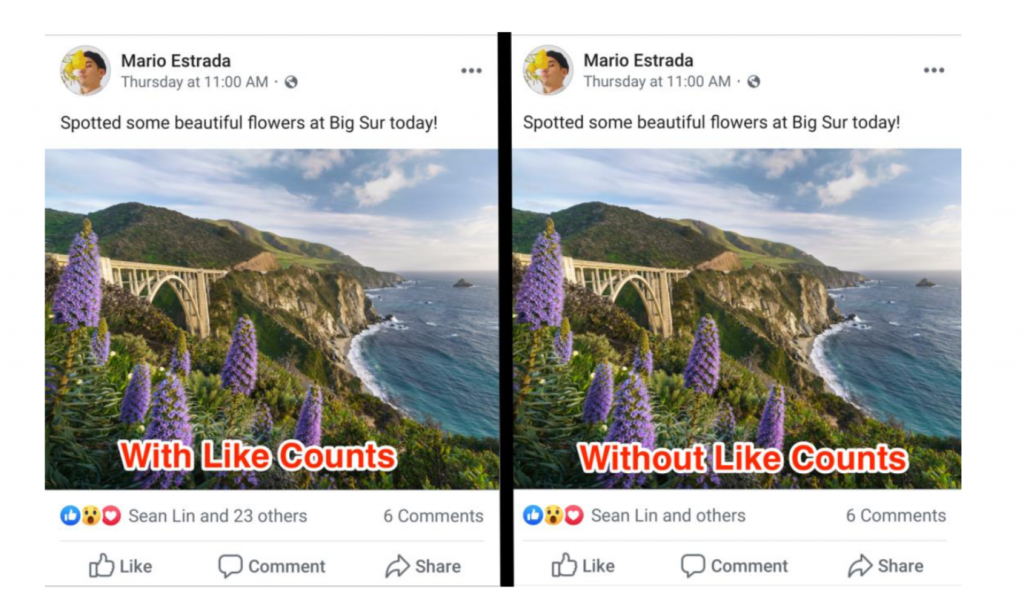 social-post-with-and-without-like-counts